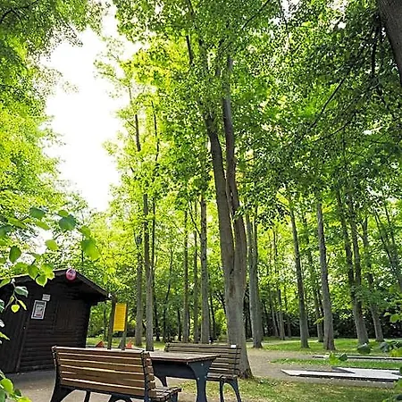 Thermalhotel Kemper 4* Westernkotten
