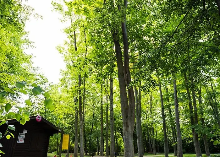 Thermalhotel Kemper Hotel Westernkotten