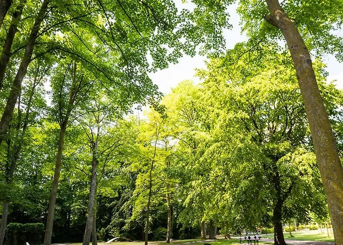 Thermalhotel Kemper 3*